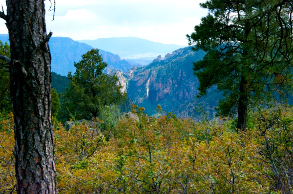 Kelsey Trail No 3