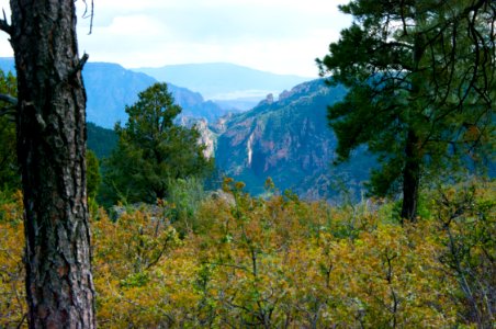 Kelsey Trail No 3
