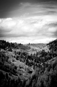 Hills On A Forested Landscape
