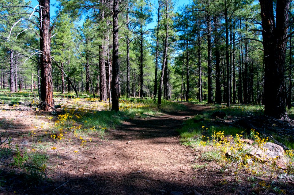 Griffith Spring Trail No 189