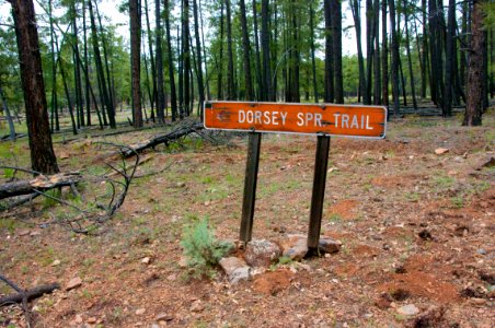 Turn-off To Dorsey Trailhead