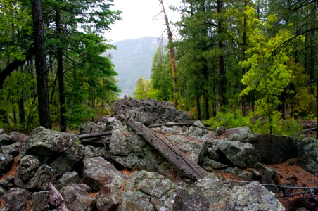 Kelsey Trail No 3