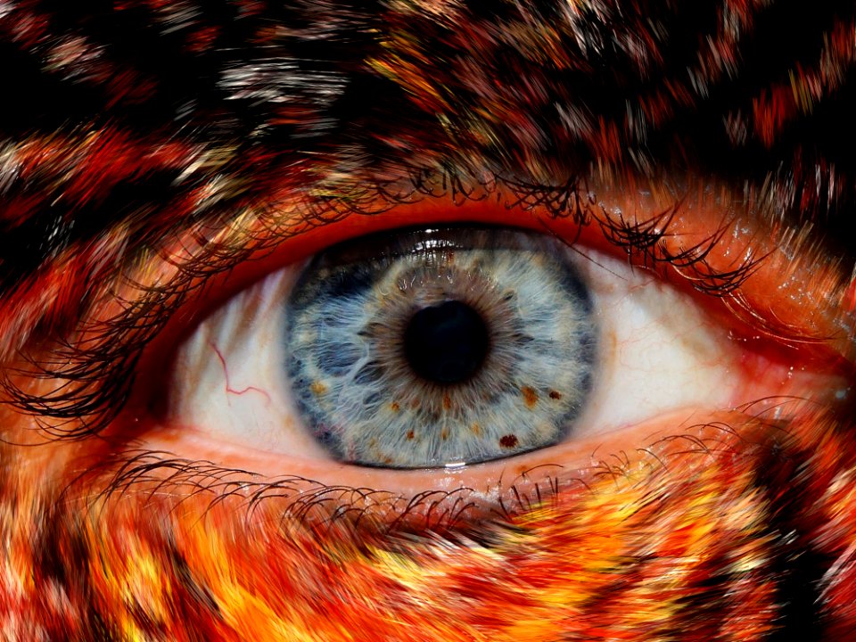 Eye Close Up Iris Eyelash