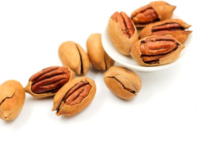 Nuts amp Seeds Nut Food Tree Nuts photo