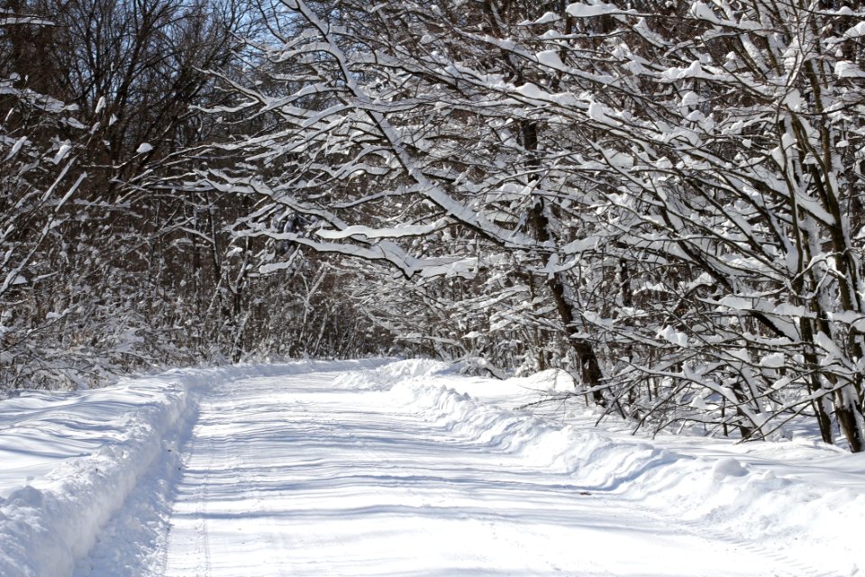 Road Full Of Snow
