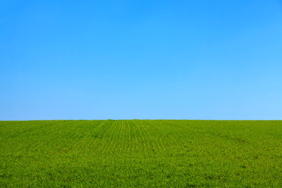 Green Grass Field Under Blue Sky