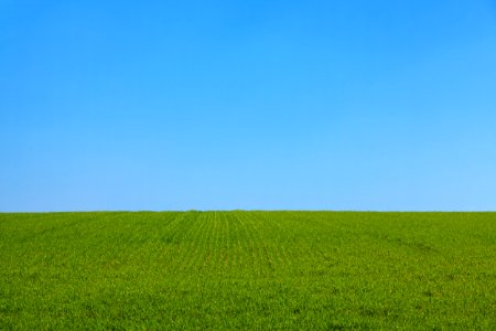 Green Grass Field Under Blue Sky photo