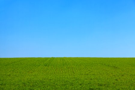 Green Grass Field Under Blue Sky