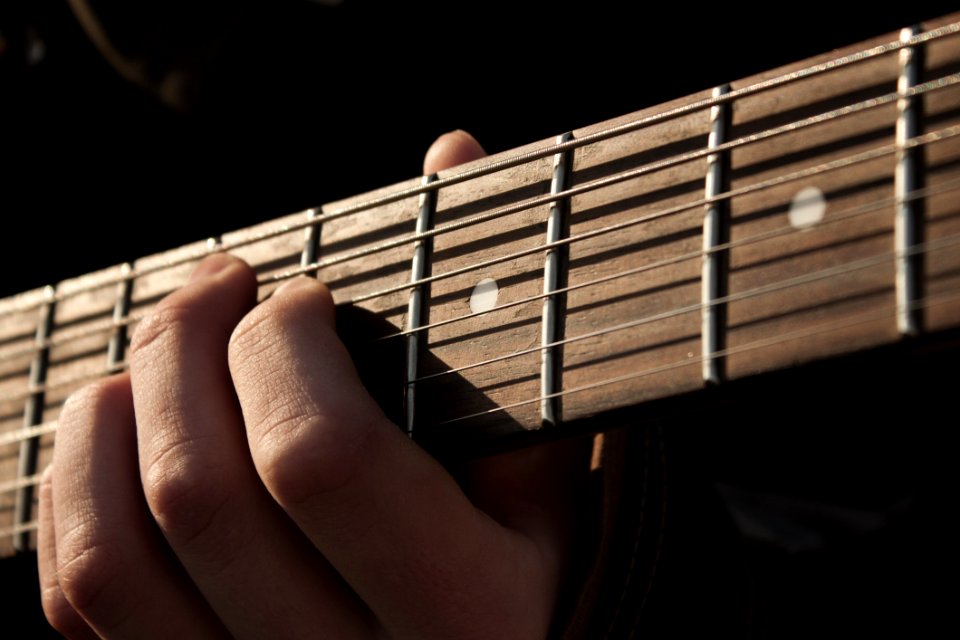 Musical Instrument String Instrument Accessory Guitar Bass Guitar