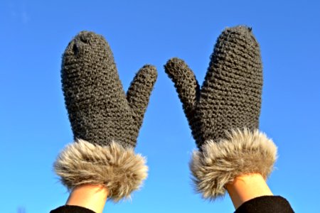 Glove Fur Cactus Wool