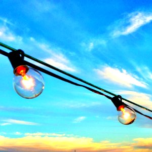 Lighted Bulbs Hanging Outdoors In Daylight