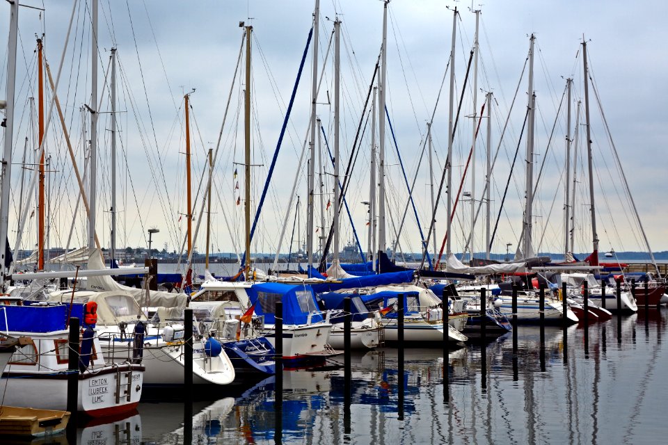 Sailboats In Marina