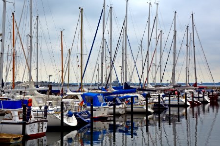 Sailboats In Marina