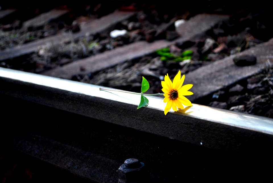 Flower On Rails