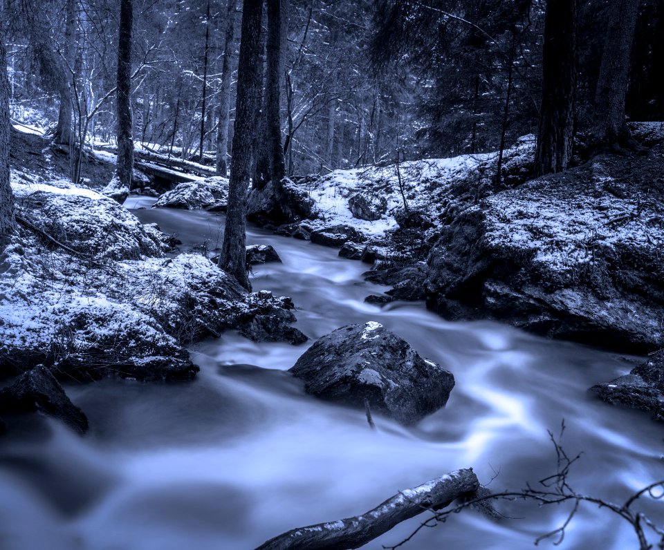 Creek In Snowy Forest