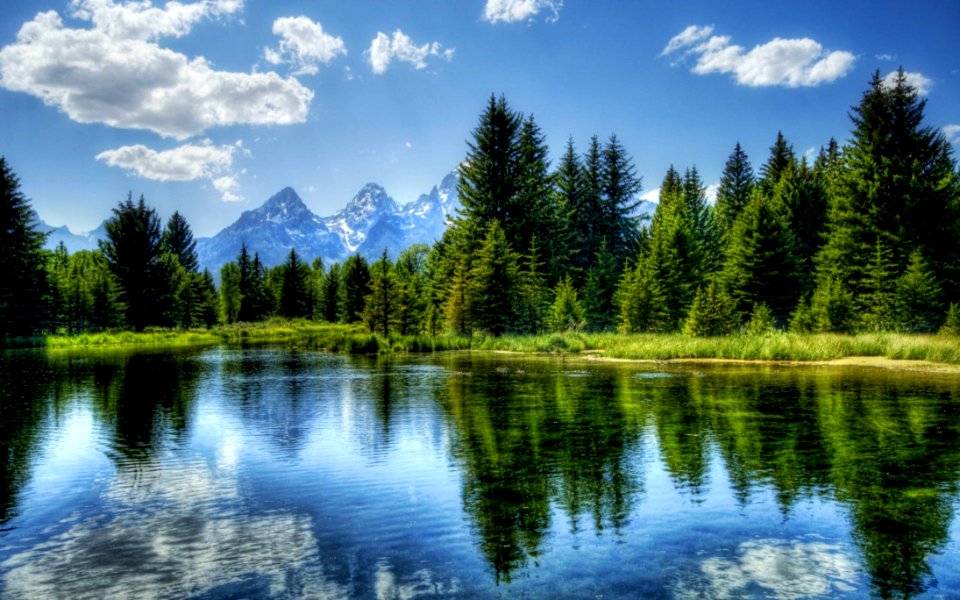 Forest Lake