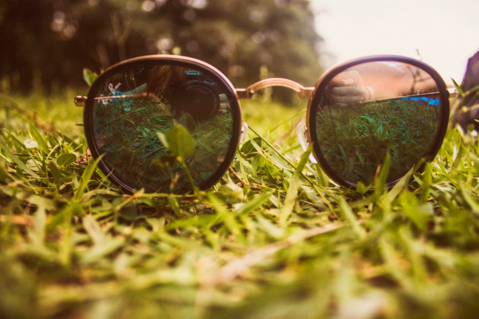 Sunglasses On Grass