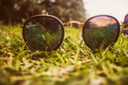 Sunglasses On Grass