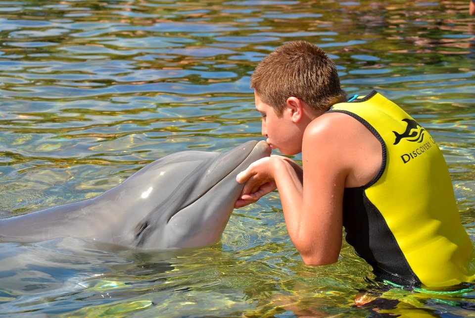 Trainer Kissing Dolphin