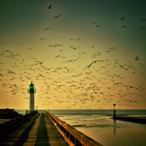 Sky Horizon Calm Sea
