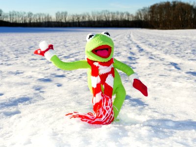Green Kermit The Frog On White Snow photo