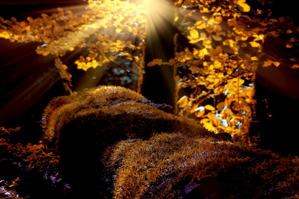 Night Light Darkness Sunlight