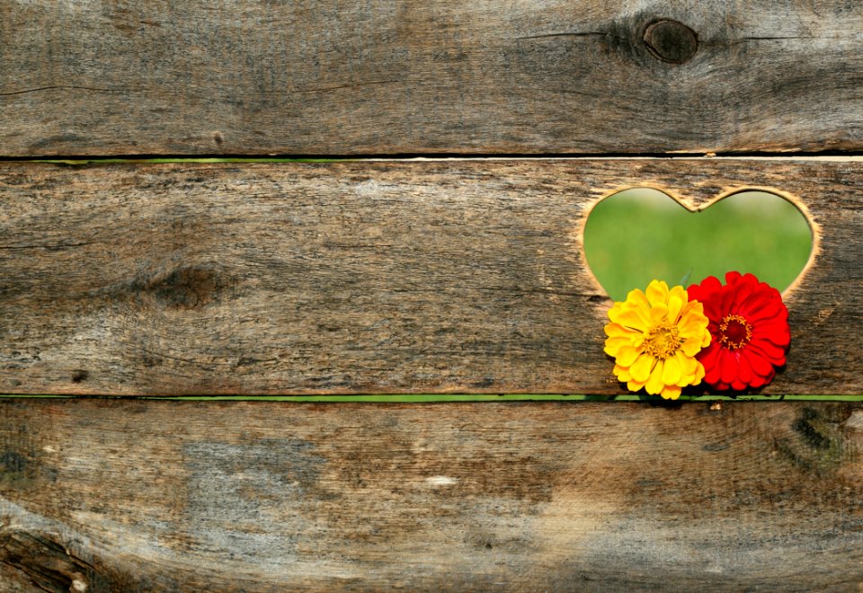 Yellow And Red Flower On Brown Heart Wooden Carved Panel