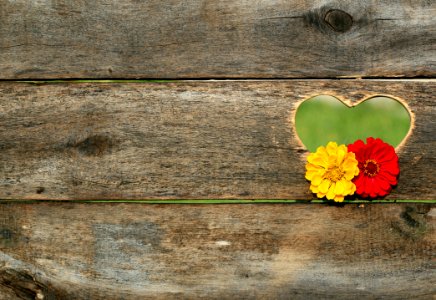 Yellow And Red Flower On Brown Heart Wooden Carved Panel