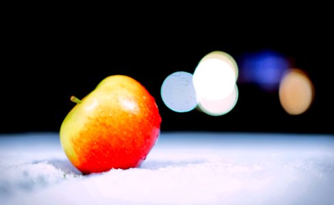 Apple In Snow photo