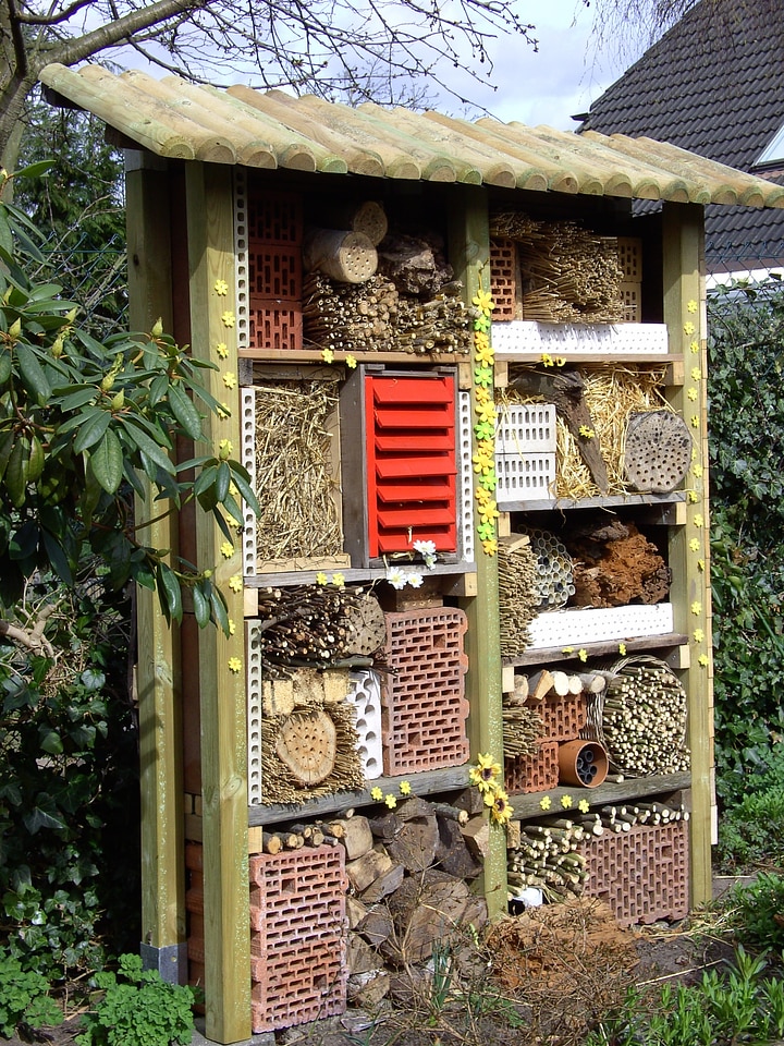 Insect box hibernation help near natural