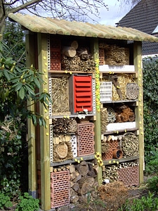 Insect box hibernation help near natural