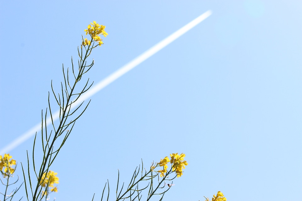 Contrail blue sky straight line