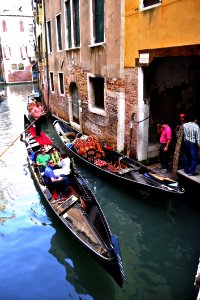 Venice Italy Venezia - Creative Commons By Gnuckx photo