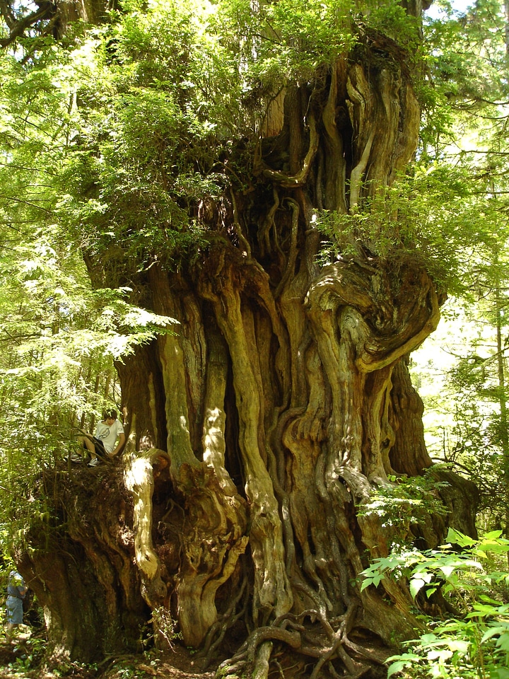 National park washington