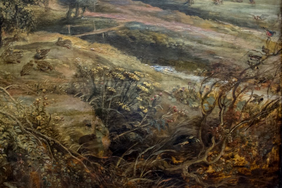 Peter Paul Rubens