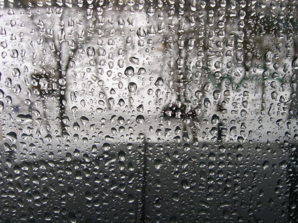 Raindrops On Window Pane