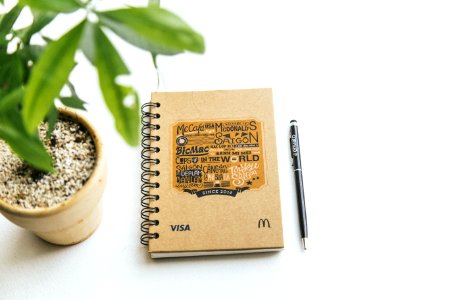 Notebook And Houseplant