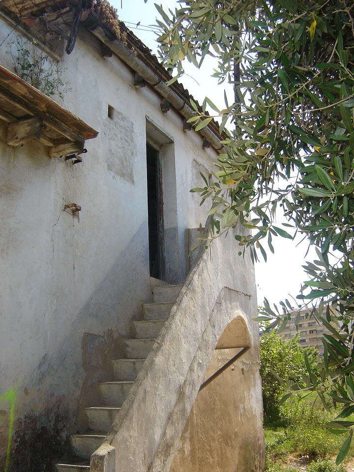 Casa vieja stone house ladder