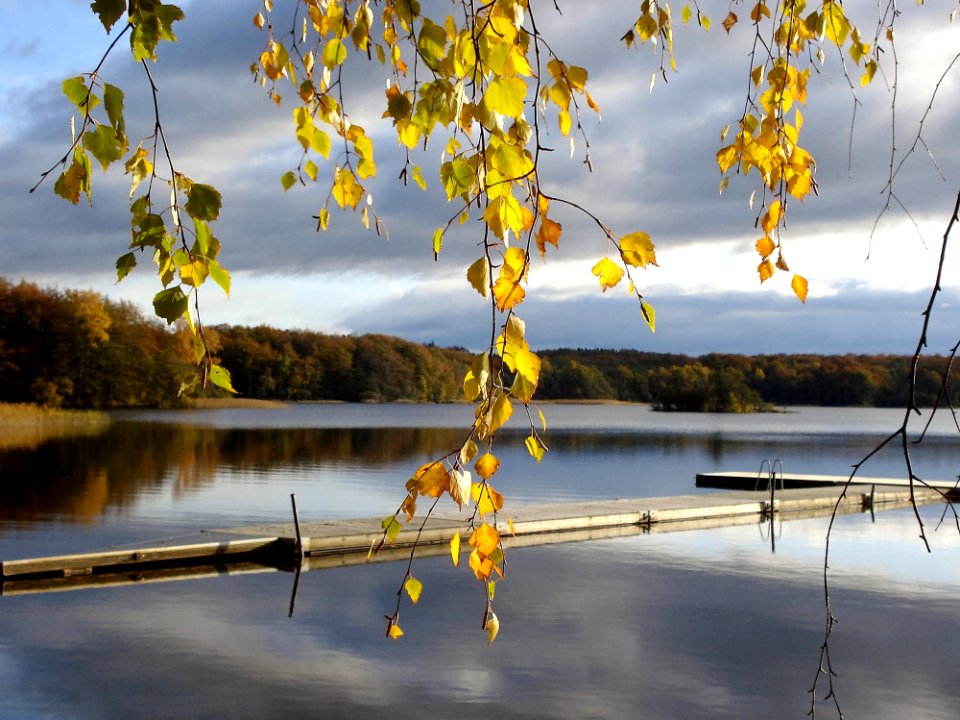 Wooden Dock On Lakefront In Autumn
