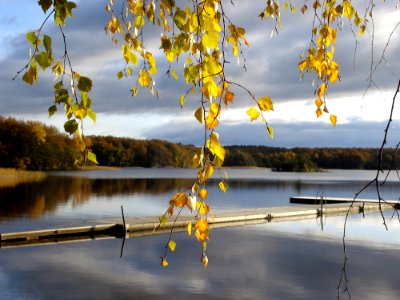 Wooden Dock On Lakefront In Autumn photo