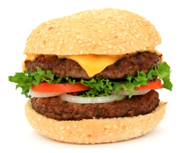 Hamburger photo