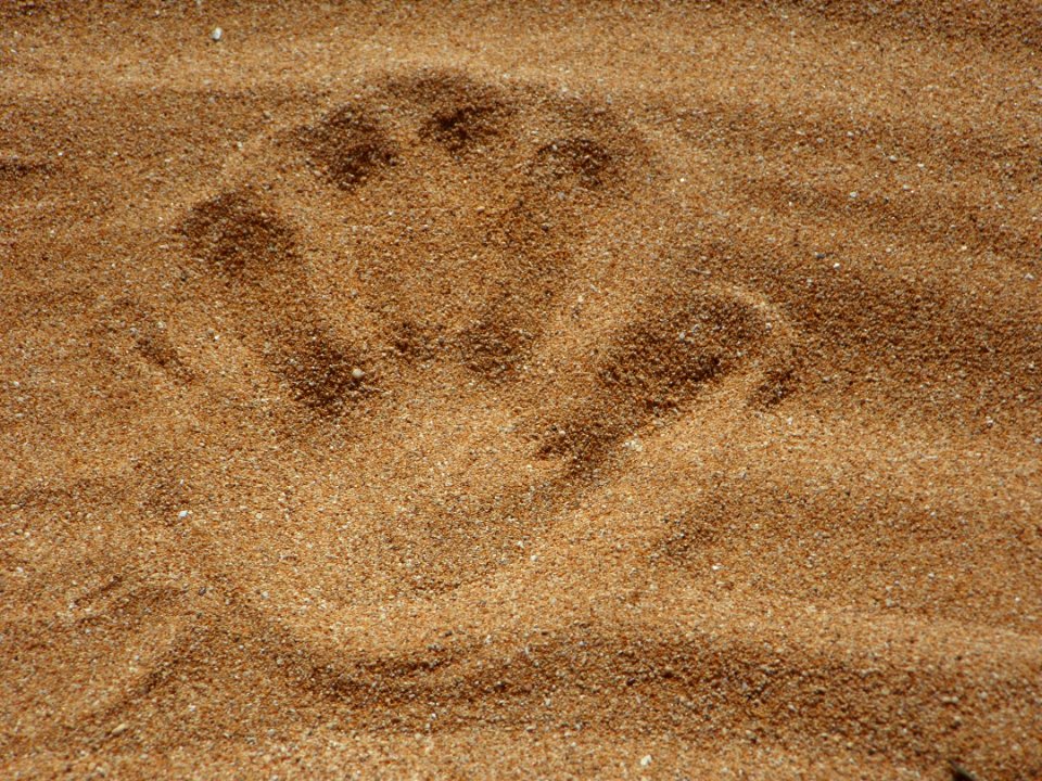 Palm Print On Sand