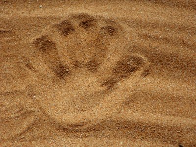 Palm Print On Sand photo