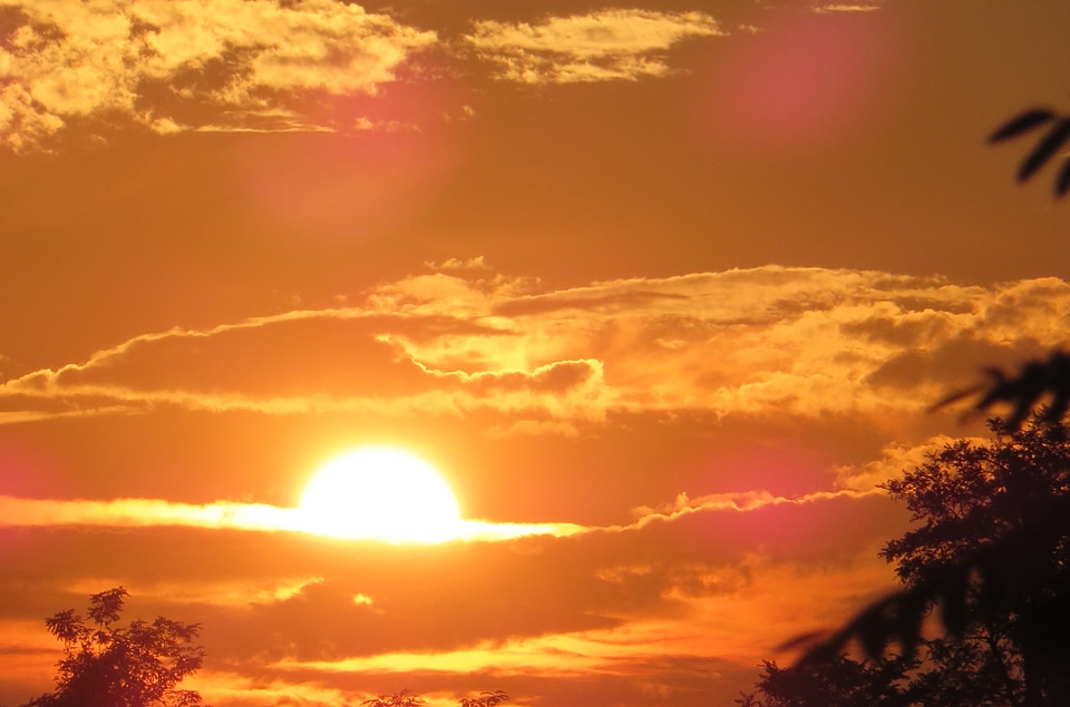Romance nature summer