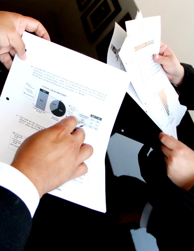 Business Professional With Documents