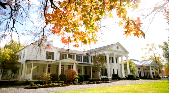 Estate Home On Sunny Day