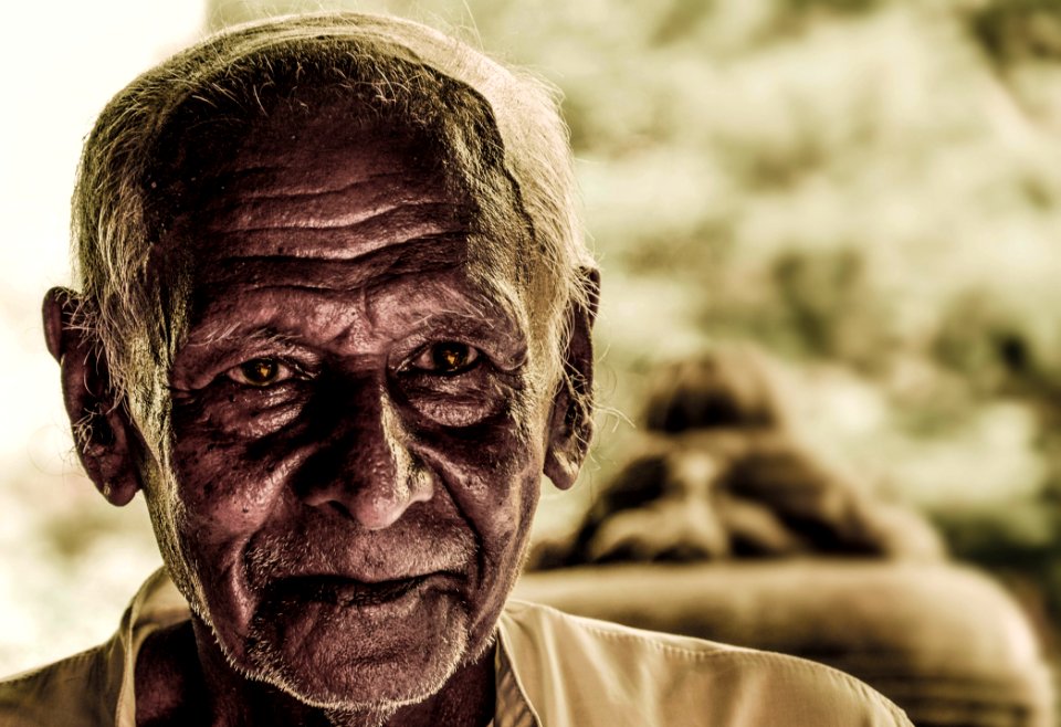 Selective Focus Photo Of Man In White Collared Shirt