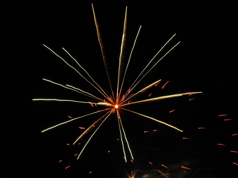 Night feast new year's eve