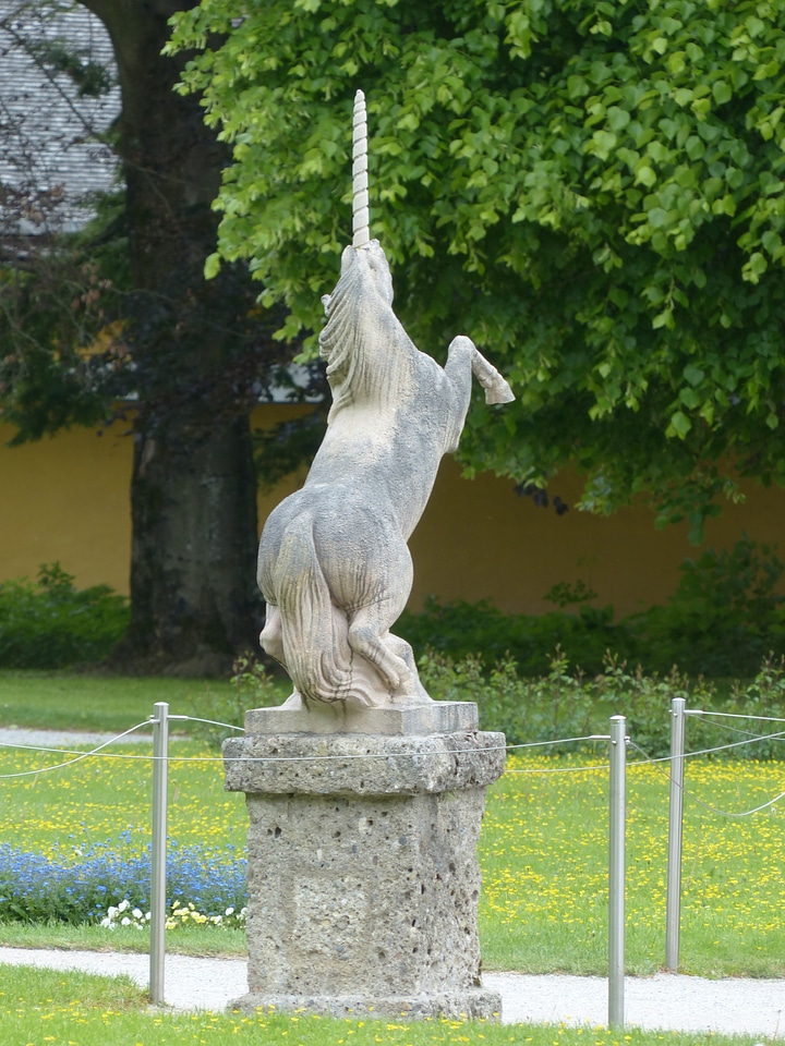 Horse ross hellbrunn