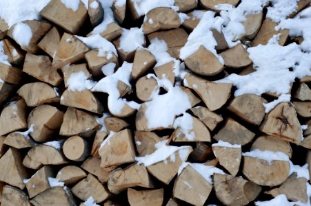 Wood Stockpile photo